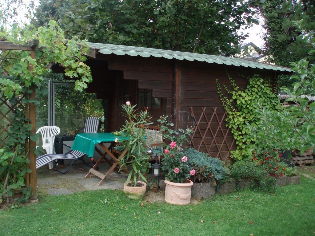 Ferienwohnung Anna Scheid Келберг Екстериор снимка